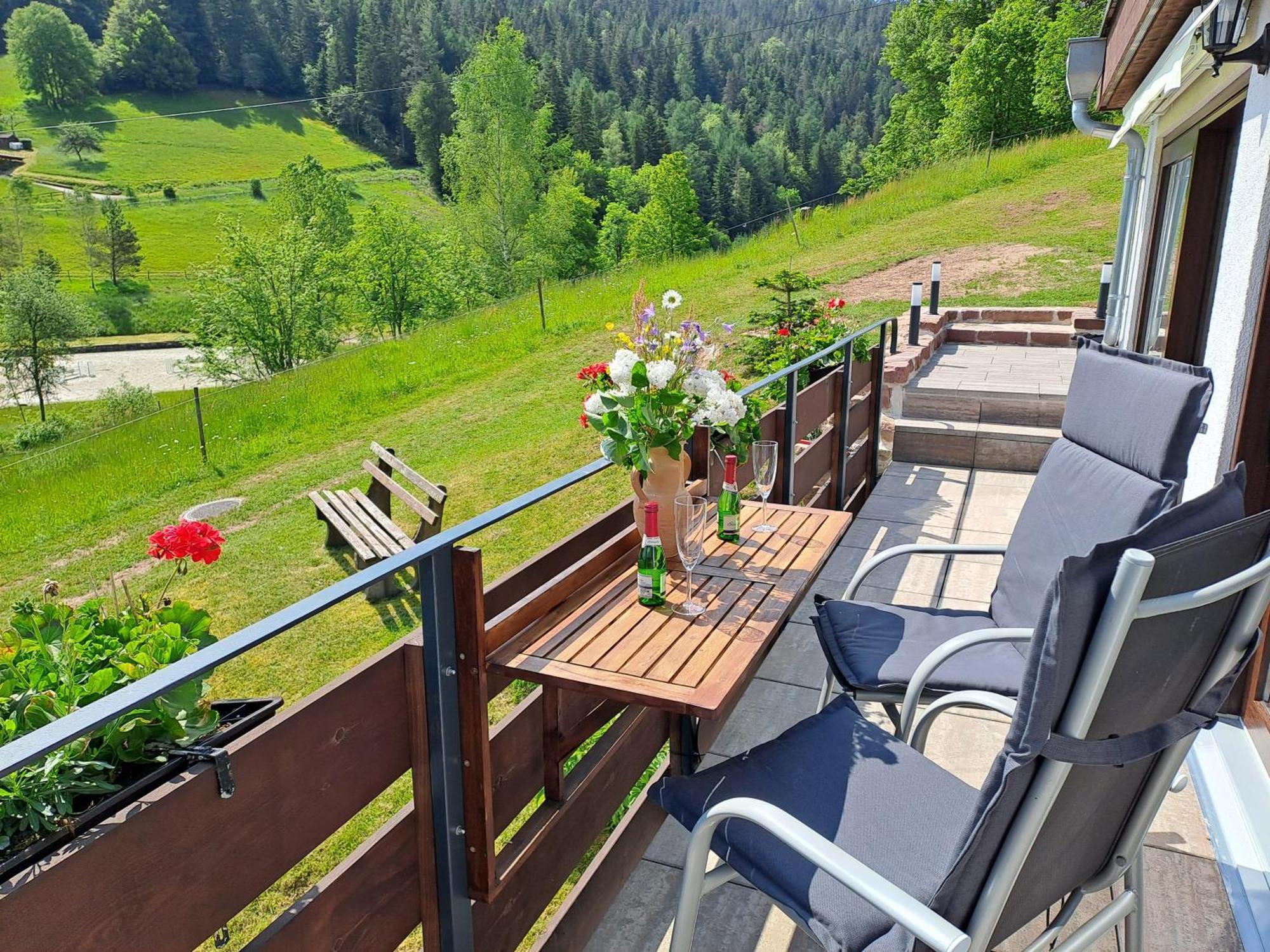 Ferienhaus Enzquelle Enzklösterle Habitación foto